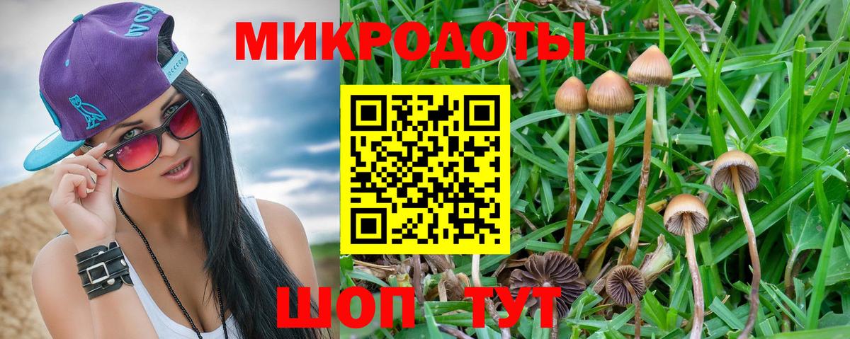 Обь  Псилоцибиновые грибы Magic Shrooms  Галлюциногенные грибы мицелий  Вход с VPN 