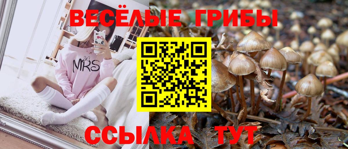 Галлюциногенные грибы Cubensis Обь